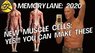 You CAN Make NEW Muscle Cells !!! [Memory Lane: 2020].
