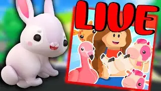 Overlook Bay New Pets Update LIVE! The NEW PETS are HERE!