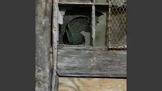 thought control break