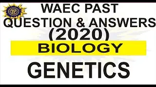 WAEC 2020 BIOLOGY OBJECTIVE PAST QUESTION 46 Genetics