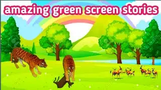||green screen amazing stories||Cheetahs while hunting deer