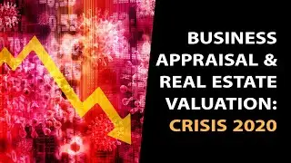 Business Appraisal & Real Estate Valuation 2020: Federal Rules of Evidence in a Free Fall Economy