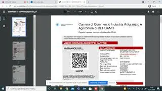 Visura Camerale e Bilancio