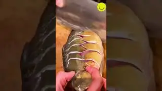 Scoring fish #short #satisfying