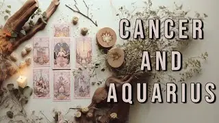 Cancer ♋ vs Aquarius♒ Twin Flame Reading | Roll For Tarot