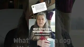 How to Feed a Dog with Kidney Disease