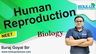 HUMAN REPRODUCTION (NEET) ~Edulux~