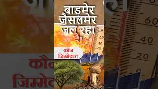 Deforestation in Rajasthan?  Solar vs. Khejri Trees! #KhejriTree #Environment #shorts #rasexam #psi