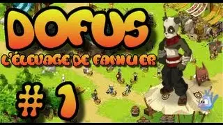 ( Dofus ) l'&eacute;levage de familier ep 1 !!!