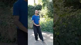 Что вам нужно знать о тайцзи-ходьбе