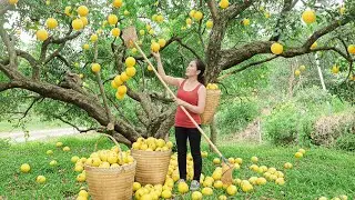 Harvesting and Selling Exotic 