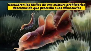 Descubren los f&oacute;siles de una criatura prehist&oacute;rica desconocida que precedi&oacute; a los dinosaurios