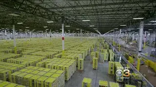 Amazon Launches 'Wag' Dog Food Exclusively For Prime Members