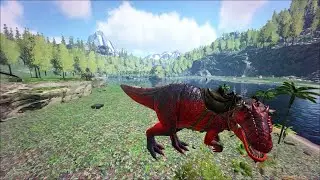 Ark Survival Evolved 10 X - Day 3 - Lets Build
