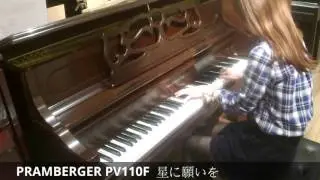 PRAMBERGER　PV110F　星に願いを【島村楽器エキスポシティ店】