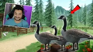 Lets Buy New Animal - Ranch Farm & Store Simulator