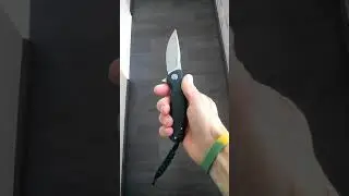 Petrified fish PF949-G-10-!-Окаменелая рыбка-!