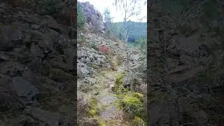 #local #home #village #quarry #cliff #garwvalley #mountains #forest #nature #dog #walking #hiking