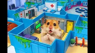 🐹🚀 ЛУЧШЕЕ ВЕСЕЛЬЕ ДЛЯ ХОМЯКА: DIY Лабиринт в стиле Among Us