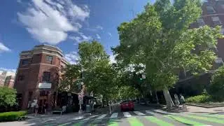 Dạo phố một vòng ở Washington DC USA🇺🇸