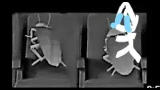 Dancing roach family (emotional)