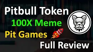 Pitbull Strong Meme Project Review | PitSwap PitChart PitPayment via Credit Card | 100X Token