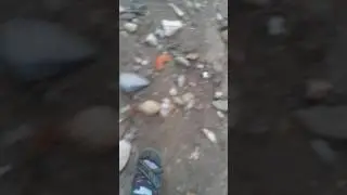 Torbaliya gittiğim i&ccedil;in video yaok