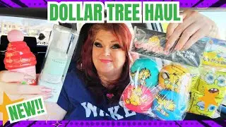 NEW DOLLAR TREE HAUL | AMAZING FINDS | February 16, 2026