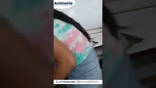 द्वारका का मशहूर computer institute | #best #computer #institute Computer Course near me | 100% Jobs