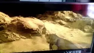 Traniler ee apocalipsis pochi Genesis