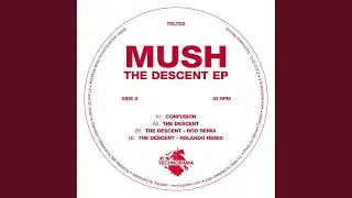 The Descent (Dj Rolando Remix)
