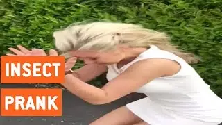 Girlfriend Is Terrified Of Bugs | Scare Prank