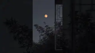 Moon night 🌙 || fisla song status || Instagram trending reel | #viral #moon #feelings