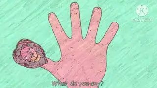 Lion Finger Where Are You 🦁🖐️ | ABC KidTV | Sponsored by Ecuavisa Csupo Effects | TechEffectPro
