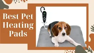 Best Pet Heating Pads (Heated Dog Beds to Keep Your Pup Super Cozy)