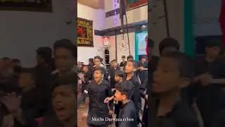 #yahussain #mochigate #azadari #children #muharram #nohay #shorts #karbala #azadarinetwork #lahore
