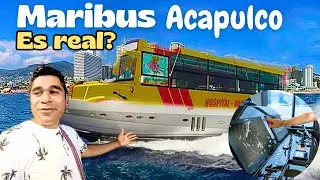 MARIBUS transporte MARITIMO ¿PUBLICO o TURISTICO?