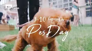 9-10 вересня PesDay на Арт-завод Платформа