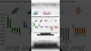 Agriculture Crisis: Corn Growers Plea to Trump on Prices