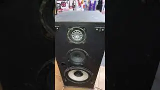 #bass #testing #time #yp #subwoofer #50w  #8
