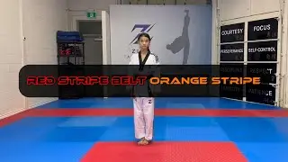Red Stripe Belt Orange Stripe - Blocks and Strikes