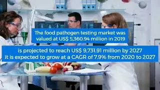 Food Pathogen Testing Market Value Worth $ 9,731.91Million by 2028, Says The Insight Partners