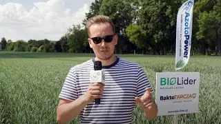 Jak duże gospodarstwa produkują zdrową żywność?