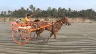 AWAS BANDER  GHODAGADI SHARYAT JAN 2014