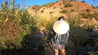 MATILIJA FALLS 1080 (10/2020)