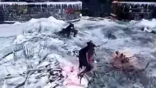 Bloodborne stream sniping PvP - Inisix VS DarkLordSen