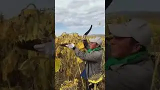 ВАУ!! Приятно смотреть 😄😄