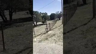 I Raced A Dog In My Truck Part 6