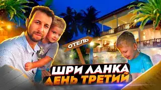 Шри-Ланка. Пляж Бентота. Жили в вилле. Блог Павла Георгиева.