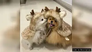 Dog Funny Clothes Pet Cat Halloween Costume Cosplay Elk Cloak Dog Costumes for Small Dogs Cute Chris